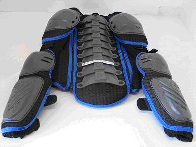 Plastron
